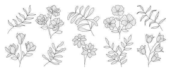 Set botanical hand drawn element vector. Collection of foliage, branch, floral, leaves, wildflower in line art. Minimal style blossom illustration design for logo, wedding, invitation, decor.