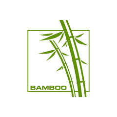 Bamboo icon, SPA massage, beauty and natural cosmetics vector symbol. Bamboo with green leaf in square line emblem for health, organic skincare and SPA product package design with oriental bamboo