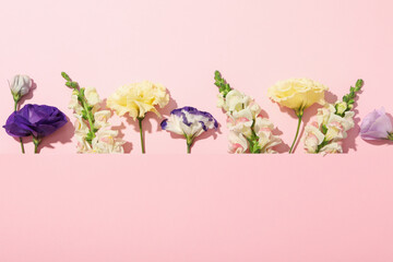 Beautiful, fresh flowers on a pink background.