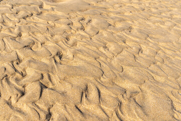 Sand Texture Background, Sandy Beach Pattern, Beige Ocean Dune Wallpaper, Wet Beach