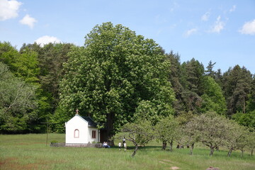 Kapelle Herrin der Berge bei Heimbuchenthal