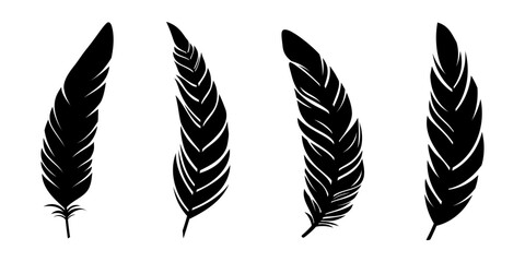 Bird feathers silhouettes collection. Black vector feathers isolated on white background. Vector feathers set.