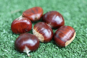 chestnuts