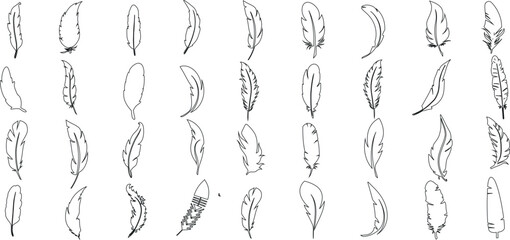 minimalist feather line art, black feather outline on white background. Ideal for modern wallpaper, textile design. Elegant, artistic aesthetic