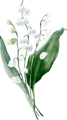 Watercolor Bouquet with Lily of the Valley and Leaves. Botanical illustration for invitation and social media.