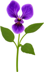 Violet clipart. A cute Violet flower icon.