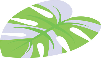 Ill monstera leaf icon isometric vector. Spa jungle plant. Green floral