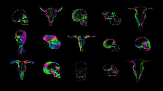 Psy Strobe Skull Motion Background