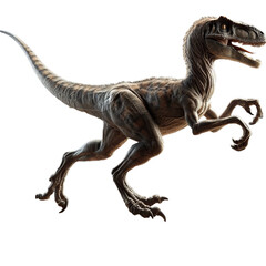 raptor isolated on transparent background