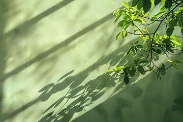 Plant Shadows on Green Wall in Naturalistic Style