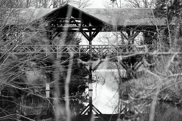 Pont au Parc de la tête d'Or - 740582888