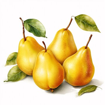 a group of pears with leaves