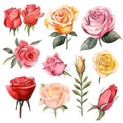 Vintage Floral Rose Bouquet Pattern Seamles Illustration