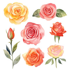 Rose Bouquet Pattern: A beautiful set of red roses, isolated in a  illustration, perfect for Valentine's Day and expressing love through nature's beauty