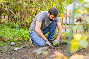 A man is kneeling down in the dirt planting shrubs in a garden, surrounded by grass and natural...