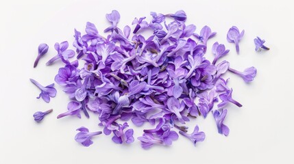 Beautiful purple and lilac flowers, petals on a white background, ideal for design and creative projects.