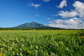 Fototapeta na wymiar 利尻島の夏景色