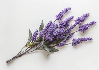 Beautiful lavender flowers, a bouquet of purple flowers centered on a white background, are ideal for design and creative projects.