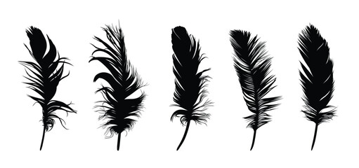 The set of bird feather silhouettes. 

