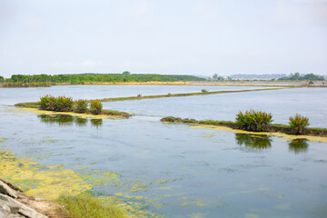 Image of flooded paddy fields after harvest in Vietnam