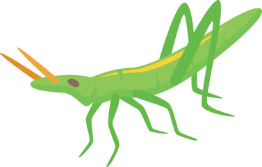 Grasshopper icon isometric vector. Nature insect. Smile leg locust