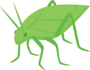 Female green grasshopper icon isometric vector. Insect bug. Creature fauna