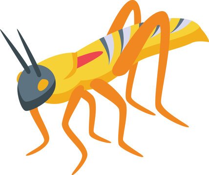 Figure gold grasshopper icon isometric vector. Nature art. Face pest fun