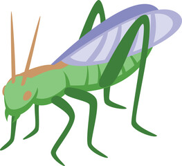 Grasshopper animal icon isometric vector. Cute insect. Funny cheerful