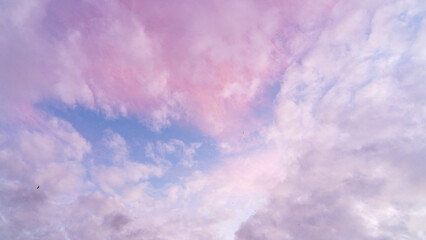 Gün batımı mavi gökyüzünde açık pembe bulutlar. Bulutların pastel renkleri, gün doğumu gün batımı doğal arka plan - obrazy, fototapety, plakaty