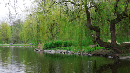 Lake in the park. Stromovka Park in Prague