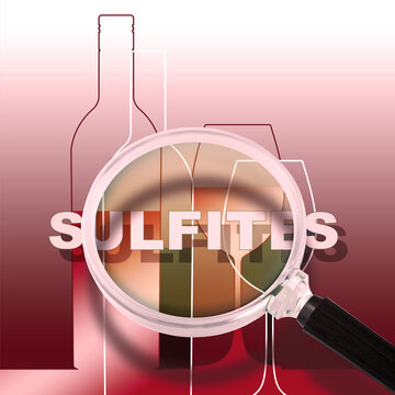 Pay attention to the presence of sulphites in wine, sulfur dioxide - HACCP concept - Hazard Analysis and Critical Control Points - Safety and Quality Control in wine industry