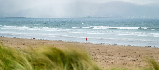 Inch beach, wonderful 5km long stretch of sand and dunes, popular for surfing, swimming and fishing, located on the Dingle Peninsula, County Kerry, Ireland