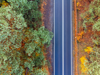 Aerial view landscape. An empty road seen from above. Street, forest, nature. Straight road, trees.