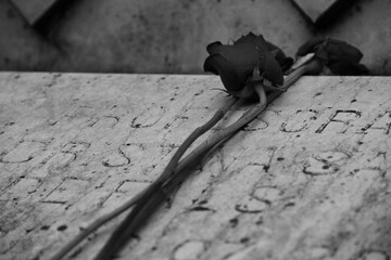 Close-up of two roses on a tombstone in grayscale
