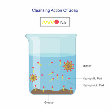 Cleansing action of soap. Structure of soap water molecule, micelle,  Chemistry vector illustration.