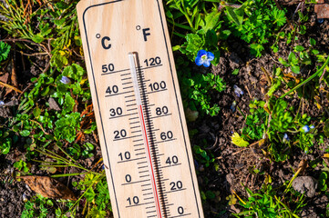 Thermometer in the grass. Rising temperatures and global warming.