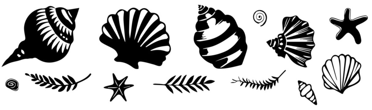 Seashell vector transparent background PNG clipart