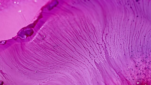 Close-up of purple ink dissolving in water creating abstract patterns