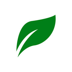 Leaves icon vector isolated on white background