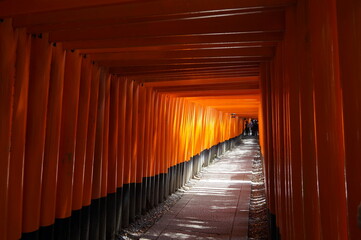 Thousands of Red Tori Gate at Fushimi Inari Shrine (Fushimi Inari Taisha) temple in Kyoto, Japan.