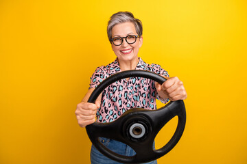 Photo portrait of attractive pensioner woman hold steering wheel wear trendy leopard print clothes isolated on yellow color background