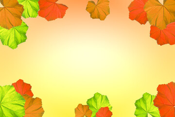 Backdrop of colorful floral leaves. - 740641289