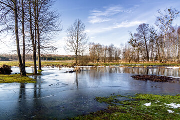 Bajkowe krajobrazy Doliny Górnej Narwi, Podlasie, Polska © podlaski49