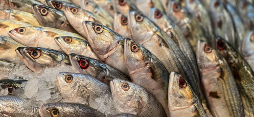 Fresh catch raw fish market showing fresh fish eyes
