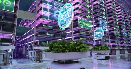 Autonomous Robots Transporting Green Leafy Organic Vegetables at a Vertical Farm. Futuristic AI Computer Vision Analyzing and Providing Visual Data in an Automated Warehouse with Hydroponics System - Powered by Adobe