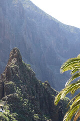 Beautiful scenery in Masca village on Tenerife. Green tropic mountains with palms