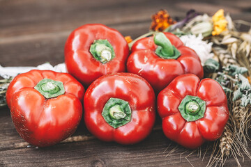 Bell pepper on wood. Rustic farm food background. Fresh fre pepper. Chrunchy paprika home grown natural and organic. Ripe red bell pepper.