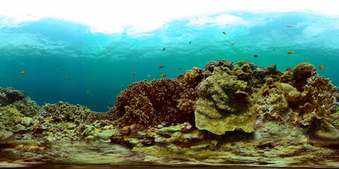 Underwater world with coral reef and tropical fishes. Marine sanctuary. 360-Degree view.