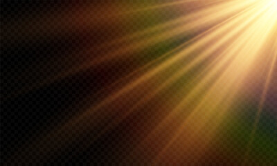 Light Vector with Sun Glare. Sun, Sunrays, and Glare in PNG Format. Gold Flare and Glare.	
