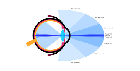 Peripheral vision poster © pikovit